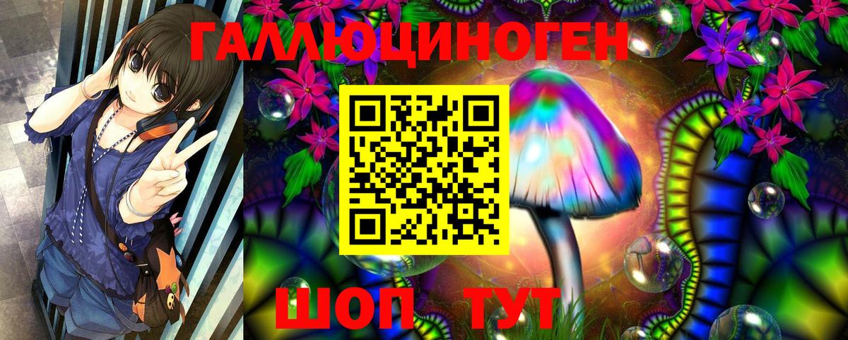 Галлюциногенные грибы GOLDEN TEACHER  Галлюциногенные грибы мицелий  Нерюнгри  Вход с VPN 