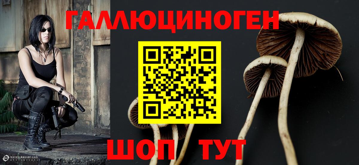 Псилоцибиновые грибы MAGIC MUSHROOMS Нерюнгри